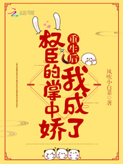 风吹小白菜作品南宝衣萧弈