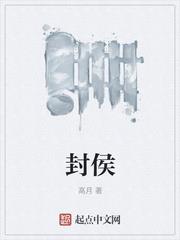 历史小说最新小说封侯