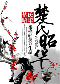 穿越之妻本贤良