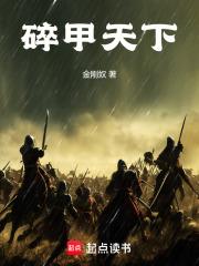 历史小说最新小说碎甲天下